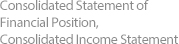 Consolidated Statement of financial Position, Consolidated Income Statement